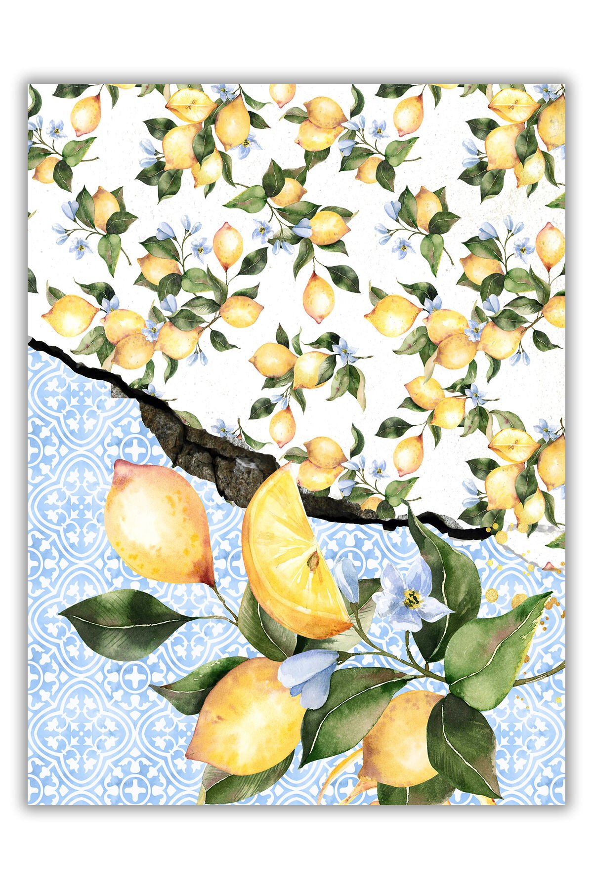 Limon Ve Blue Blanc Tema Dijital Baskı Dekoratif Dokuma Taban Halı Mira 1288 150×250